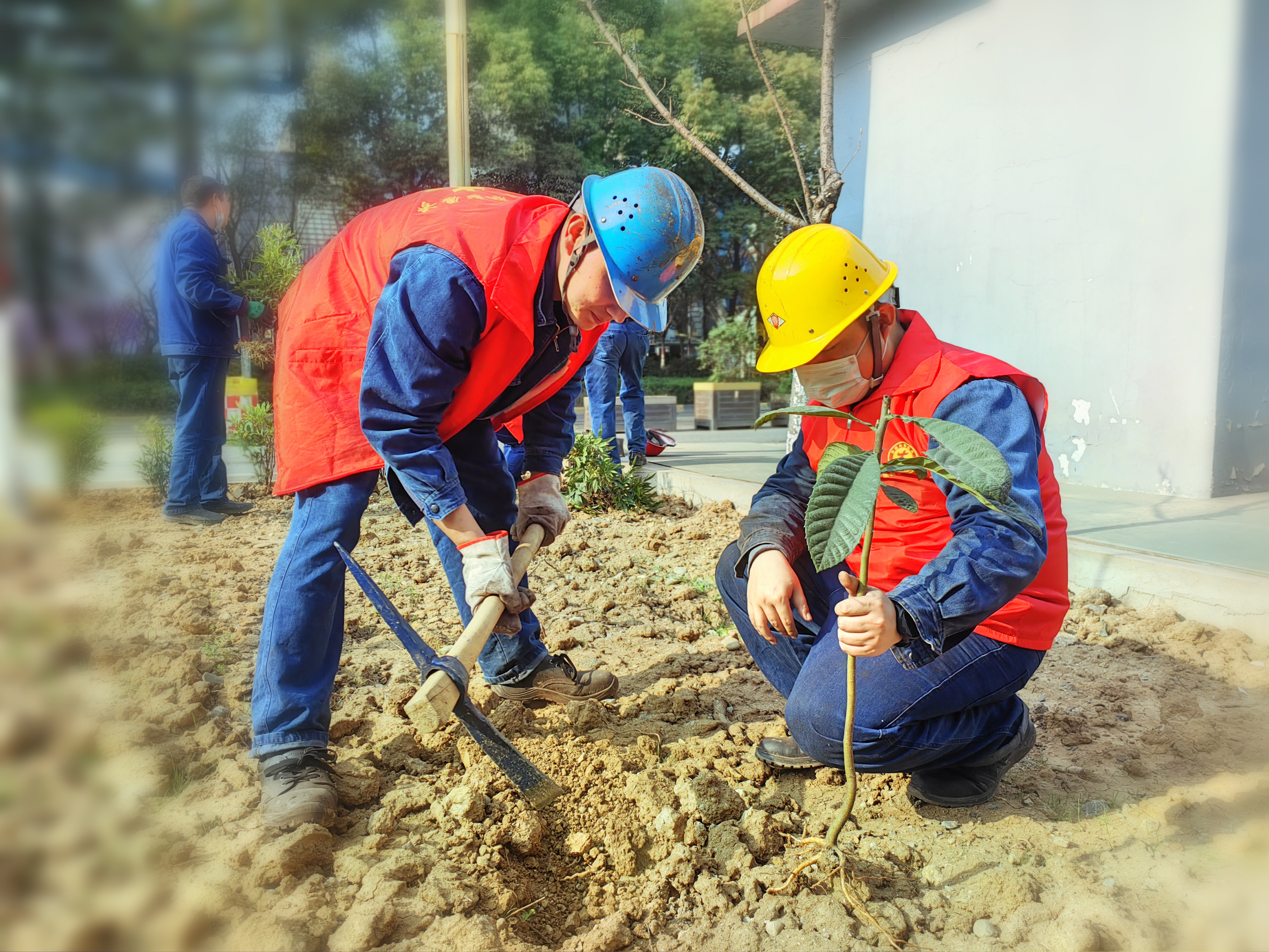 ���ࡱ�����^�f��ɽ