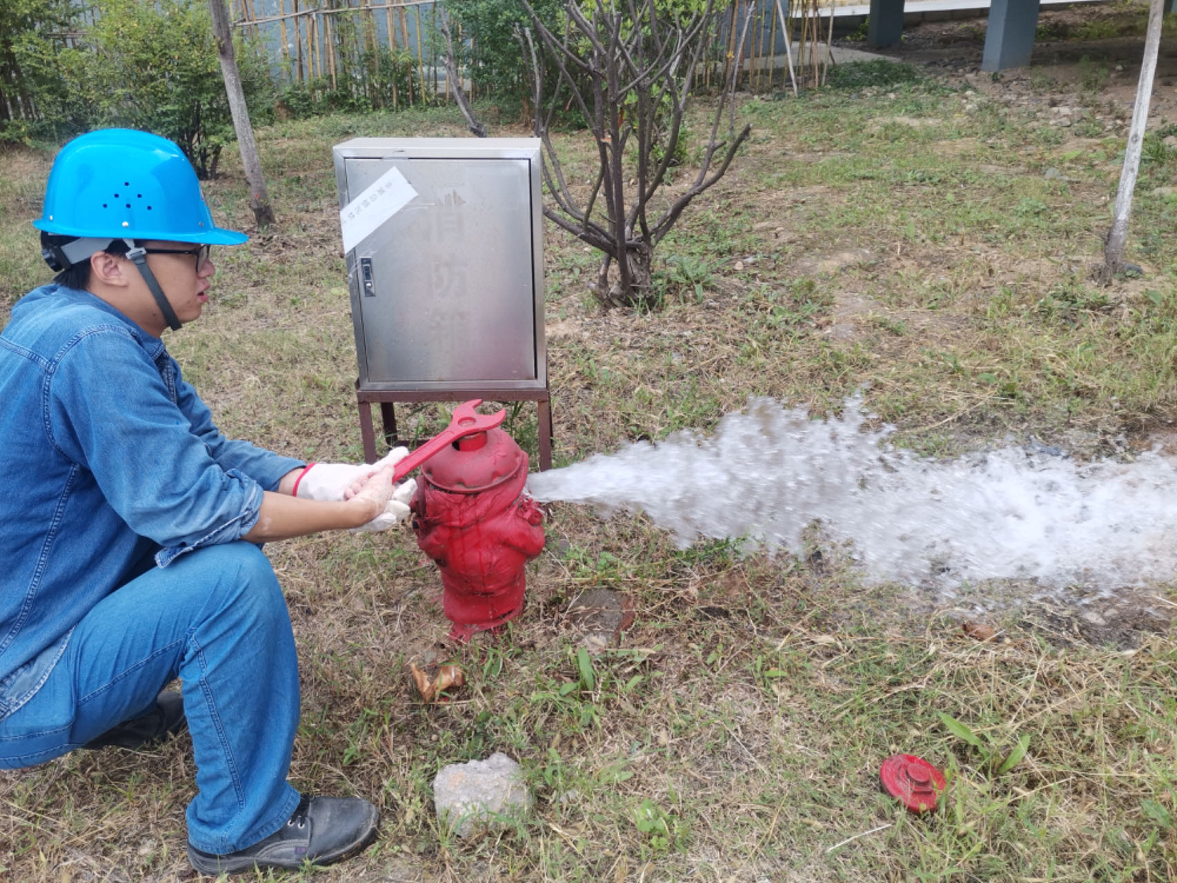 �ɻ���С��˼�����ð�ȫ���a�������¡�