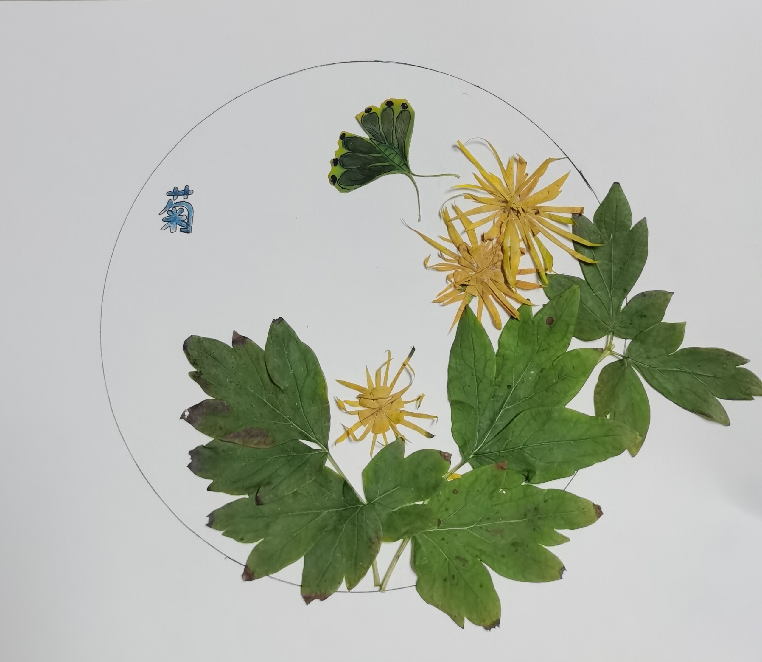 樹葉畫“廉潔” 清風潤心田 樹葉畫“廉潔” 清風潤心田