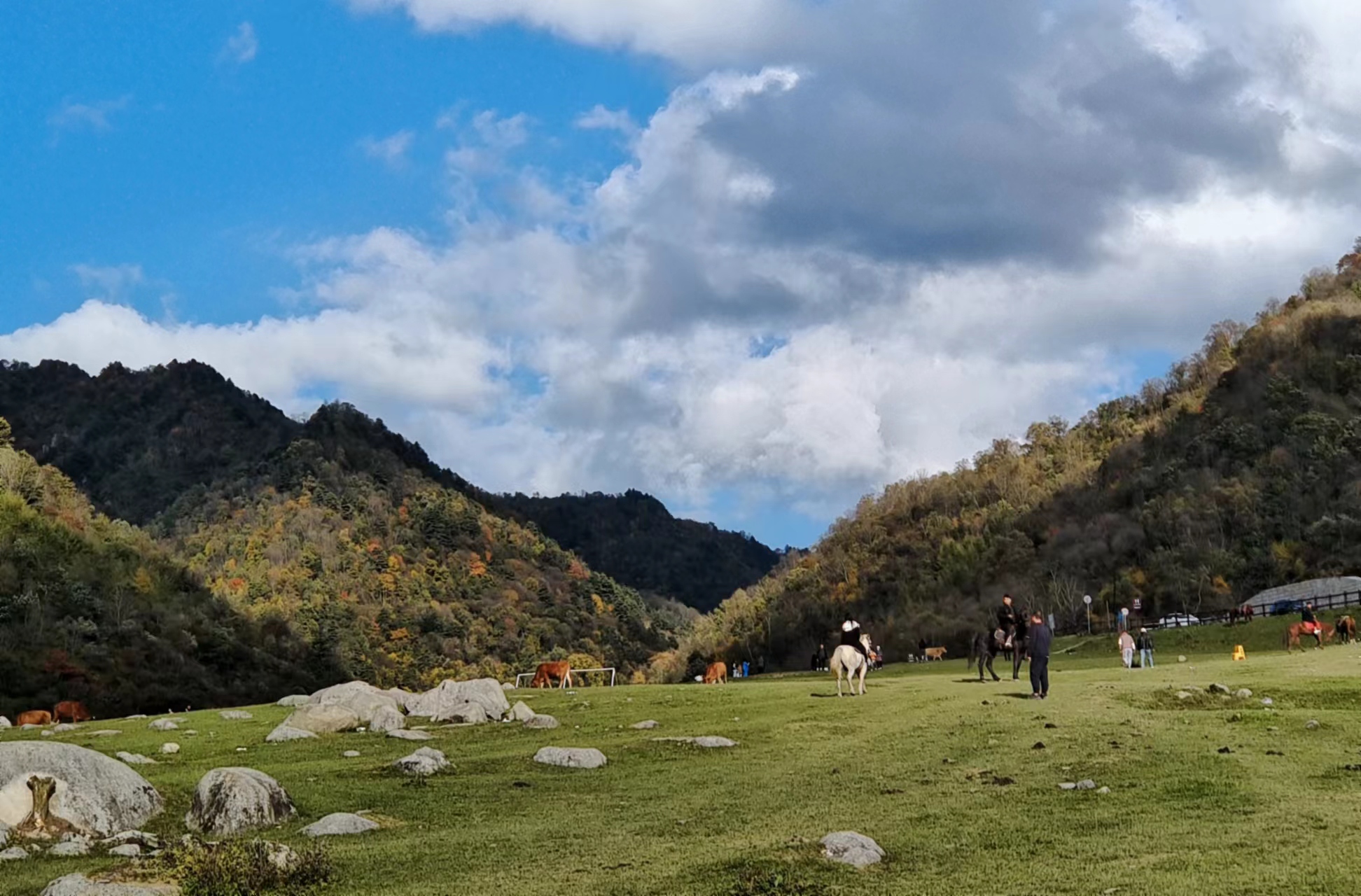 留壩大山里的深秋