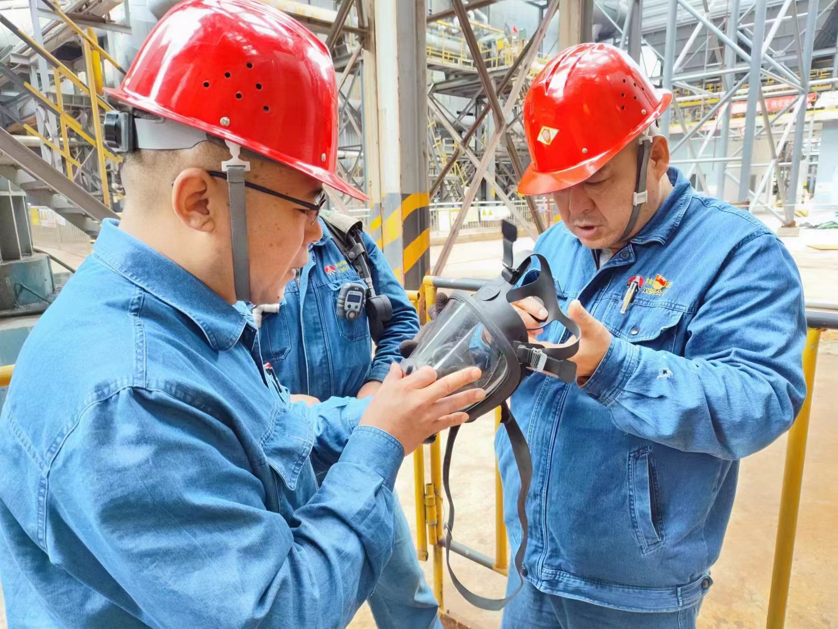 ���c�l�����Ʉţ����ζ�����ȫ���a����