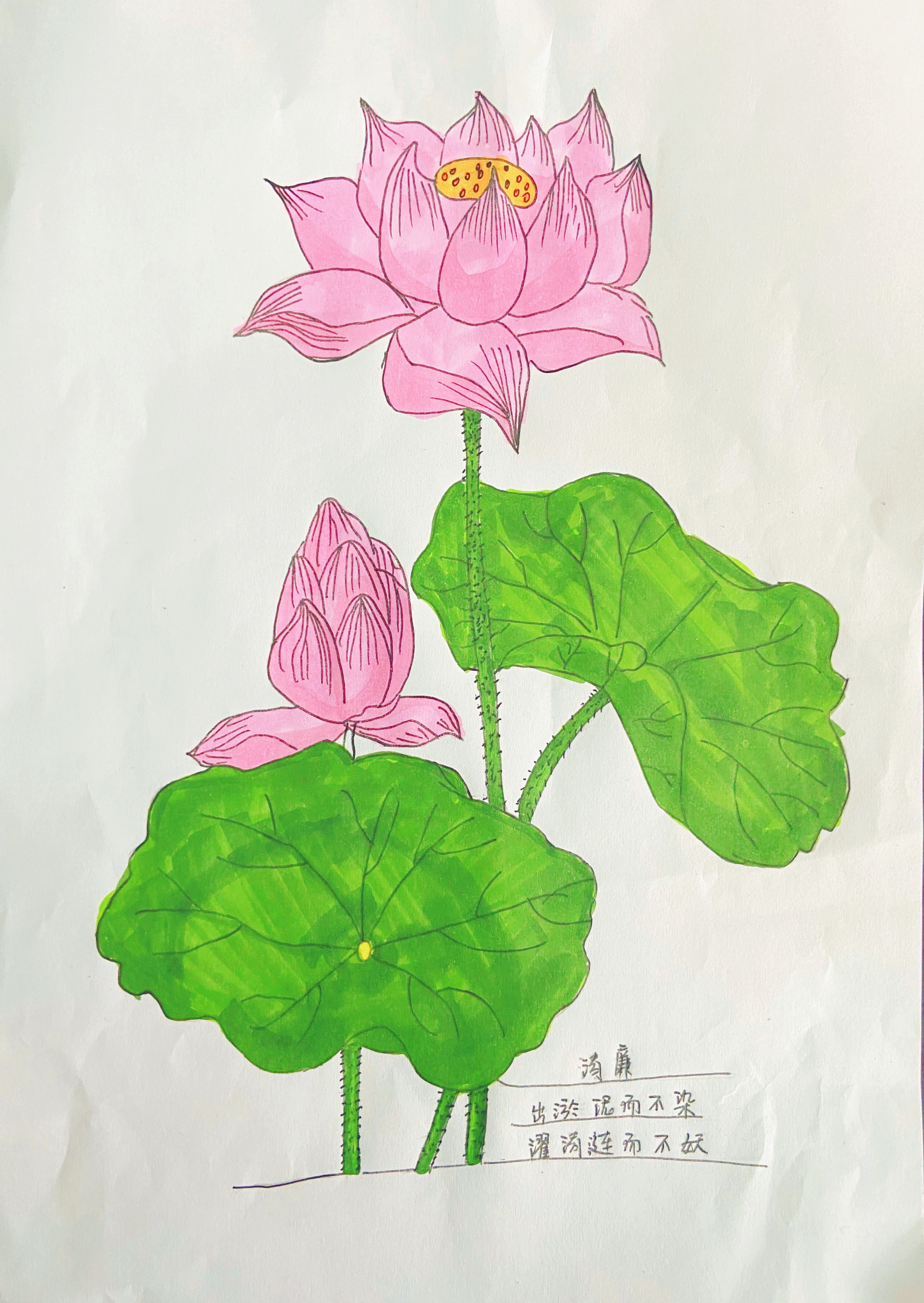 ���L���¾G����ֲ����hua��