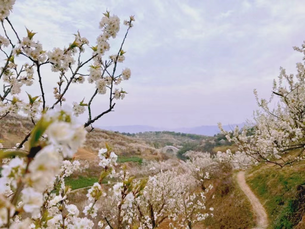 �o̎���w�������������ڝh��