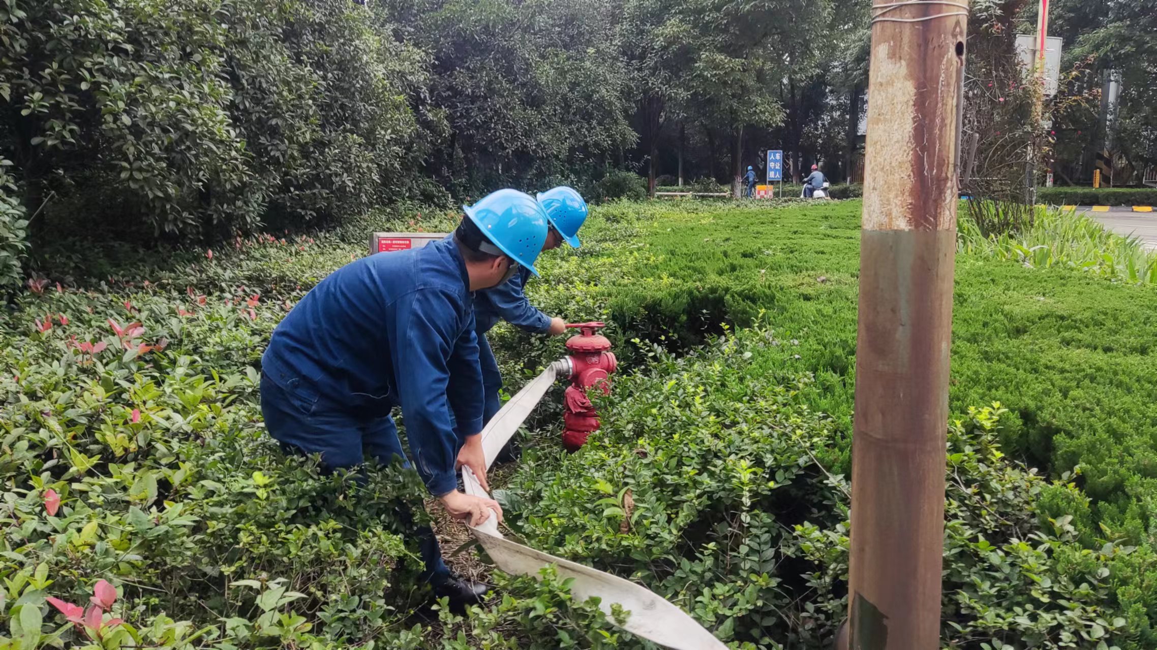 �h䓹�˾�_(k��i)չ�ۉm�汬�¹ʑ�(y��ng)���ݾ�