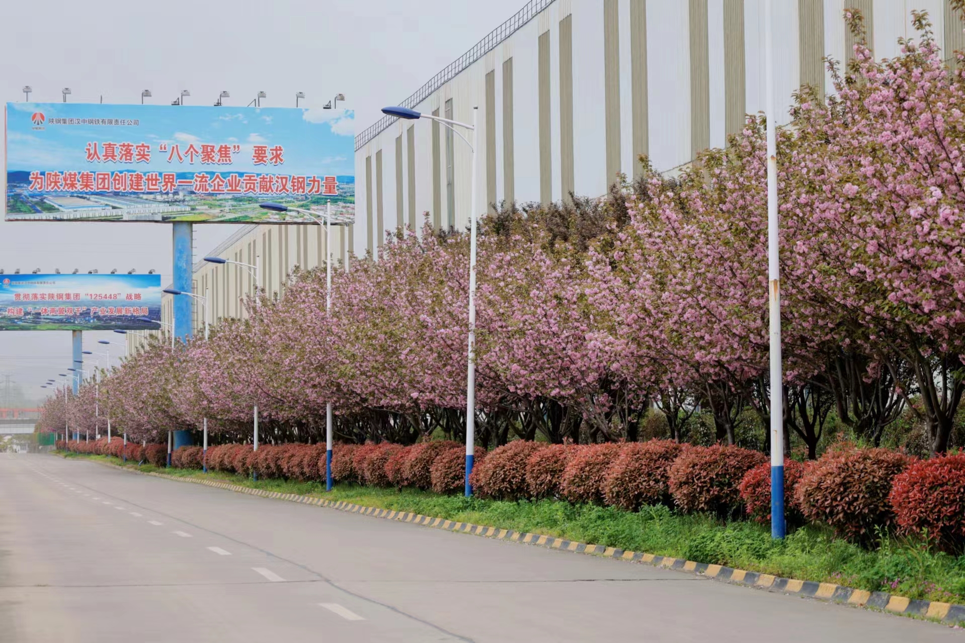 江南四月 江南四月