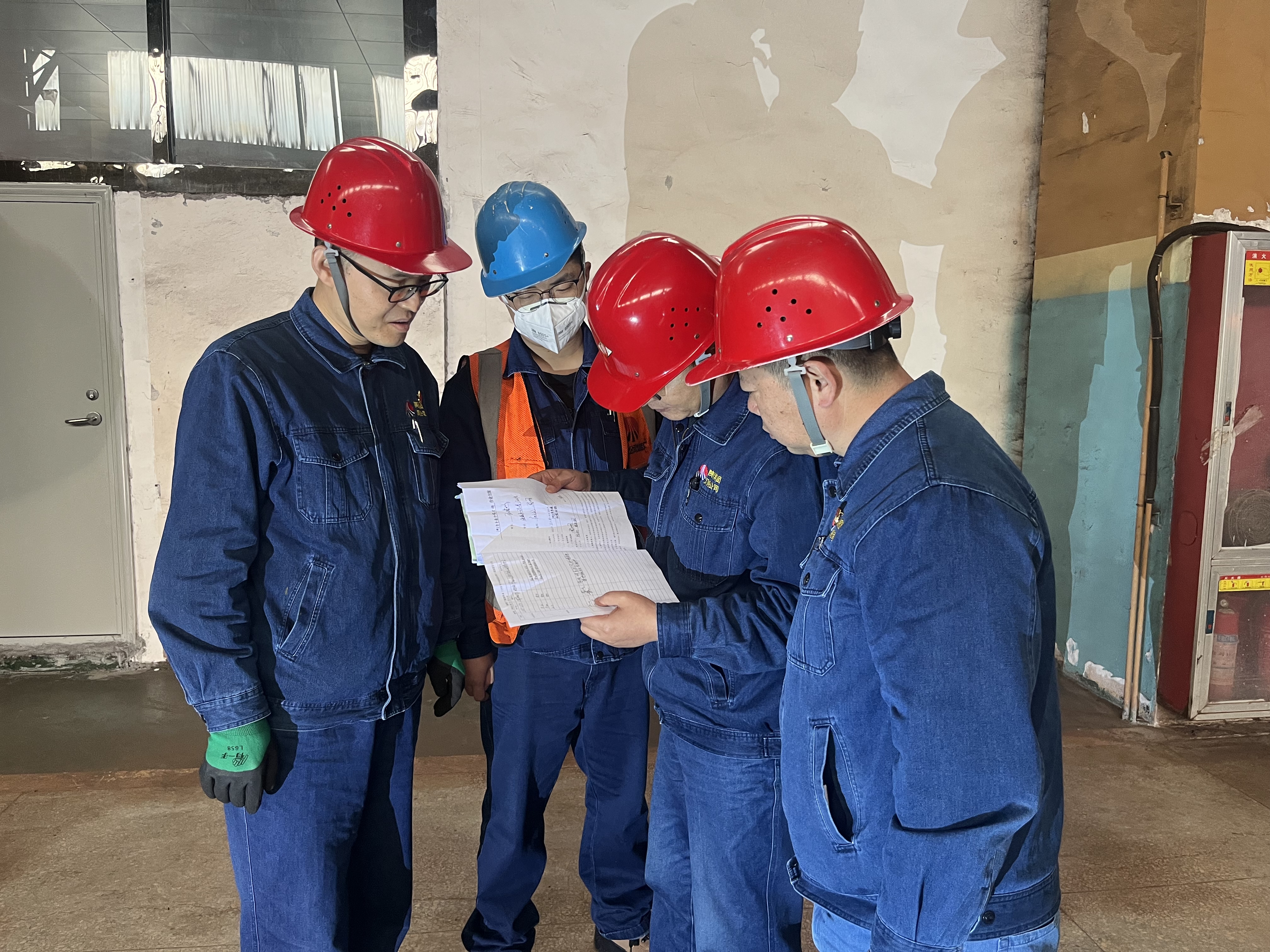 ��ֲ�������� ������l�������������