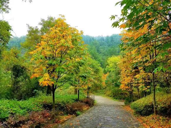 秋日私語 秋日私語