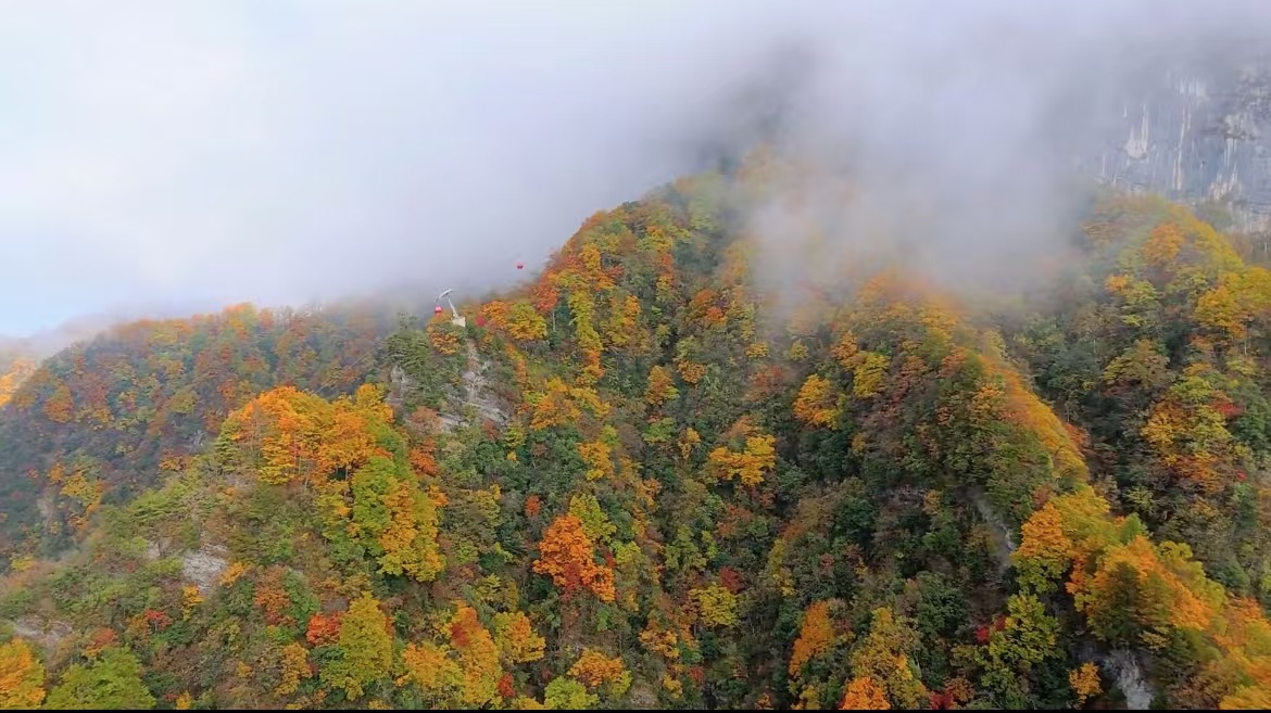 龍頭山,秋如醉 龍頭山,秋如醉