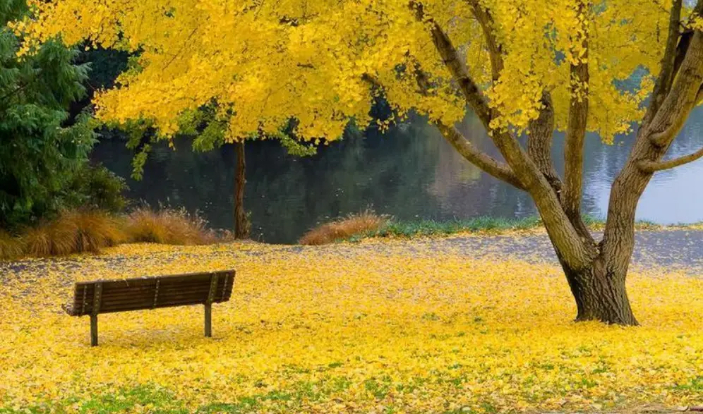 �y�Ә��µ�С�_��