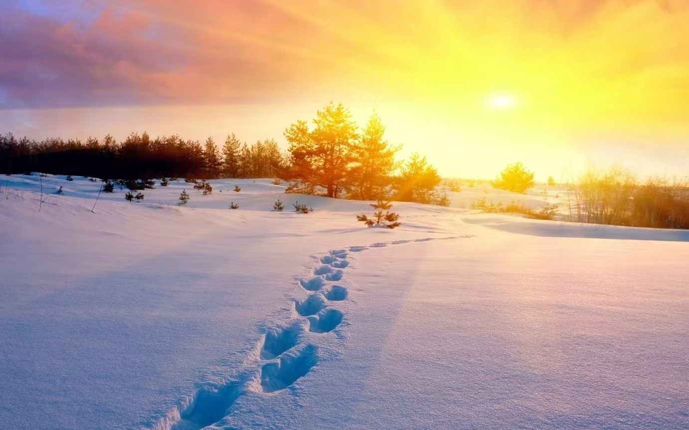 ���յĜ����cϣ��