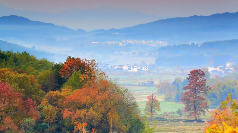 家鄉(xiāng) 家鄉(xiāng)