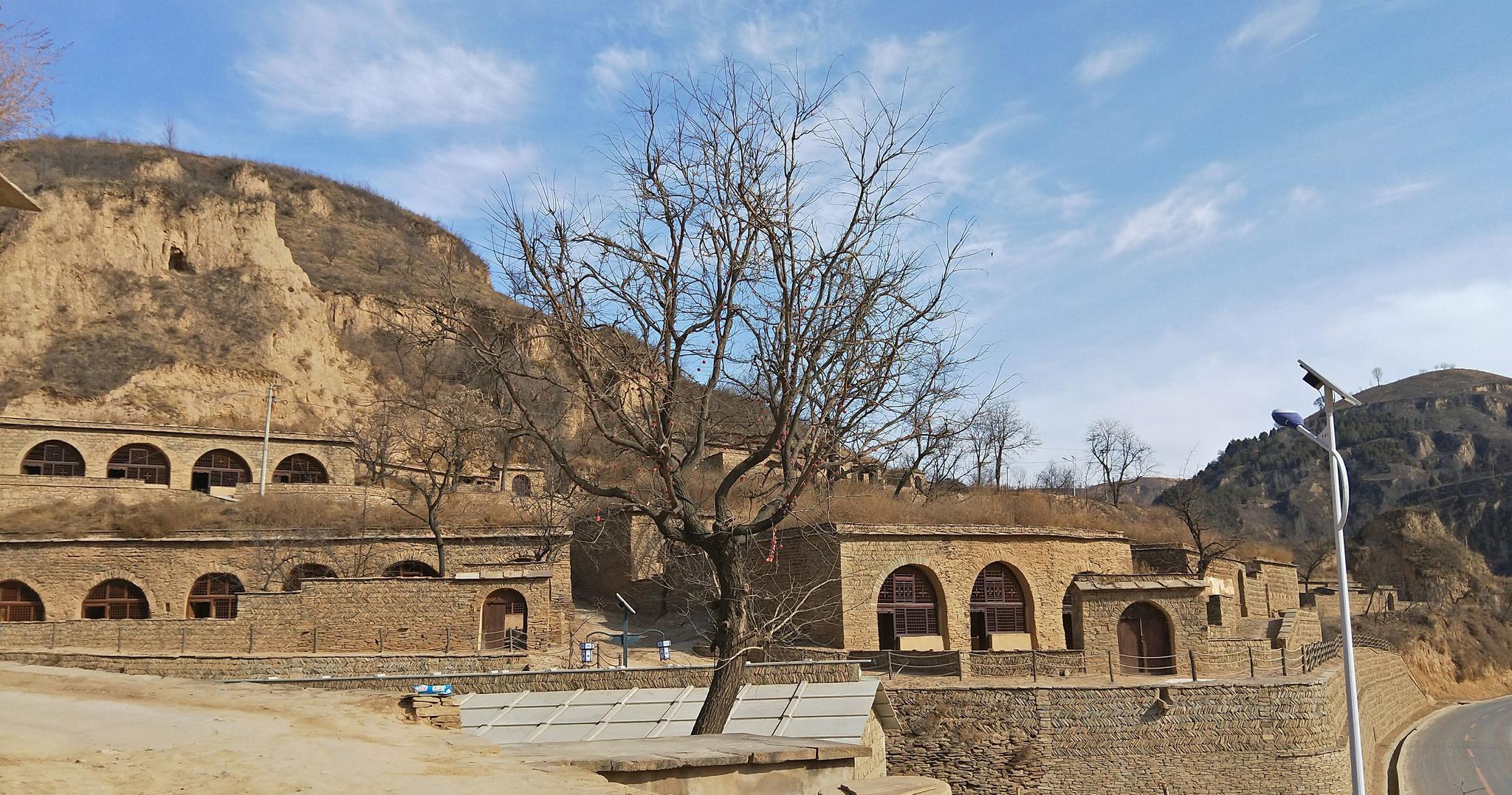 元旦·故鄉(xiāng)·羊肉 元旦·故鄉(xiāng)·羊肉