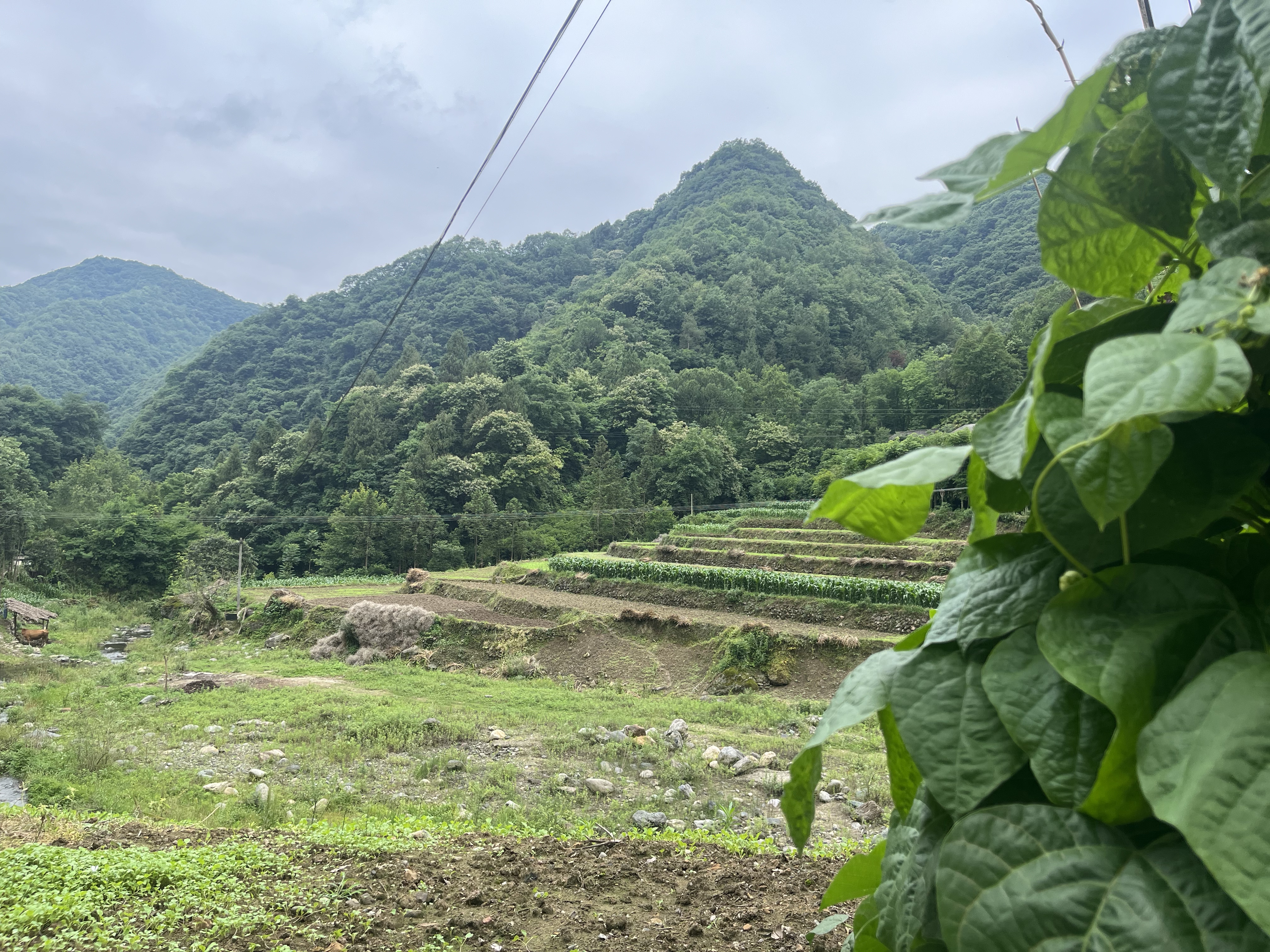 山里人家 山里人家