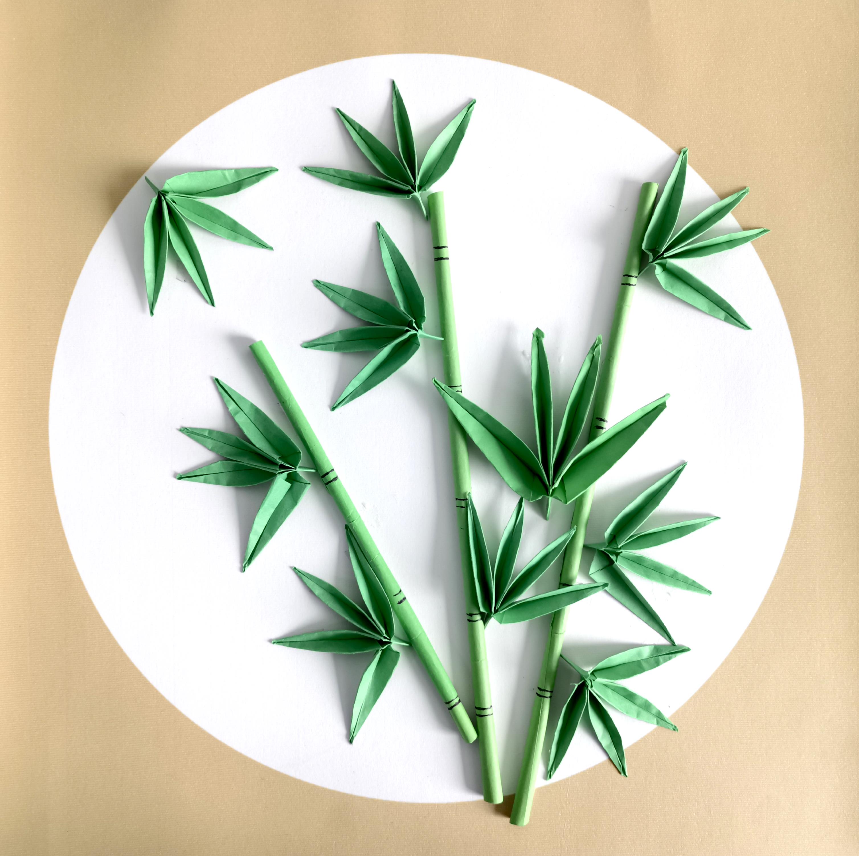 ���������Ą�(chu��ng)����ֲ���L(f��ng)��