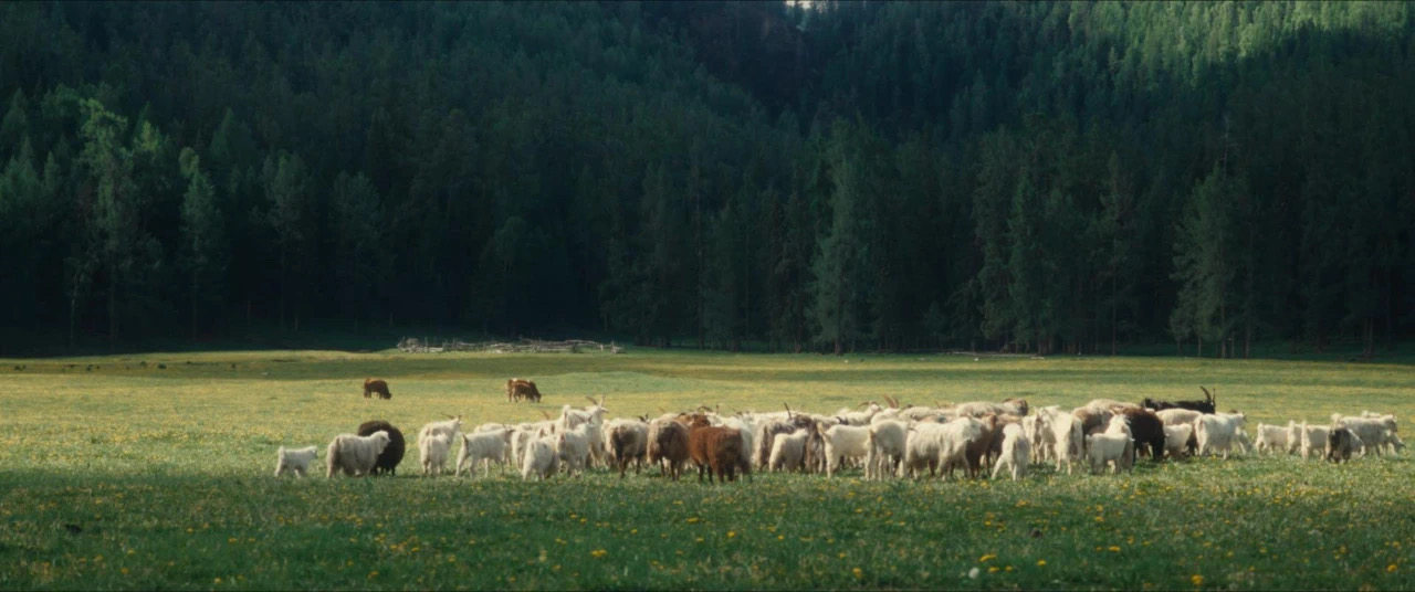 ���죬���c�x���Ђ��s��