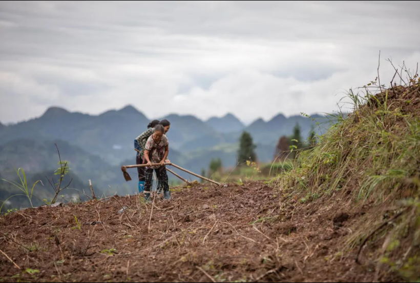 荒蕪的田埂與生長的腳印 荒蕪的田埂與生長的腳印