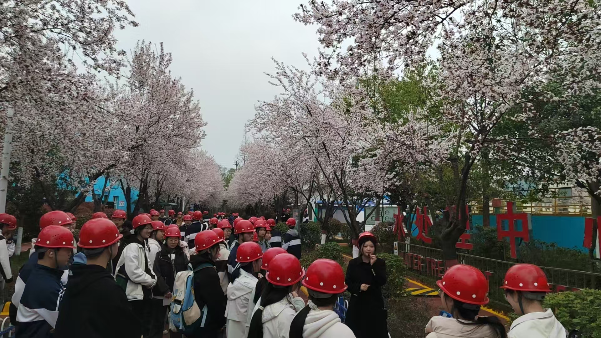 ����ЌW(xu��)�������W(xu��)������˾���^�ЌW(xu��)