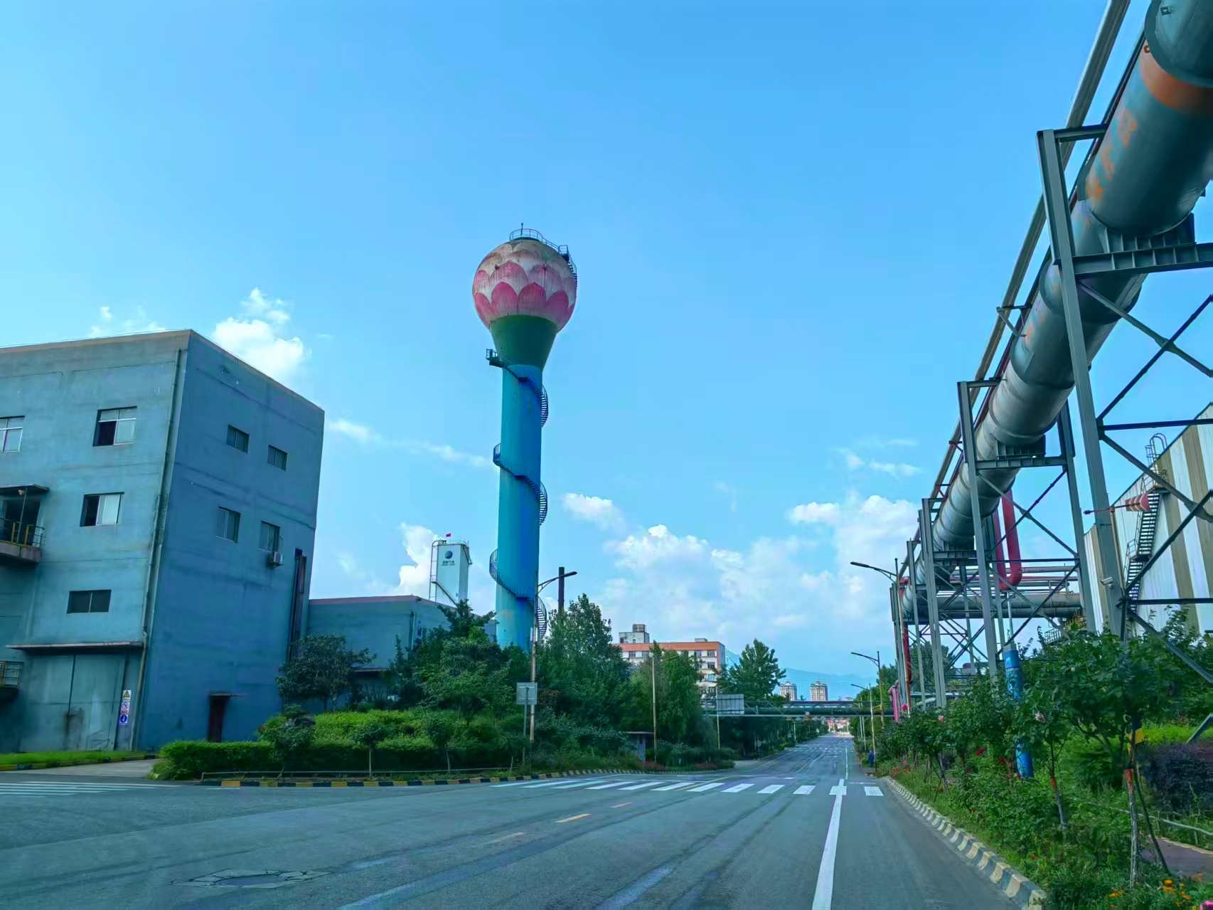 ���֮��^����ؓ���⡪���Ԍ��Ɋ^�M�_������������