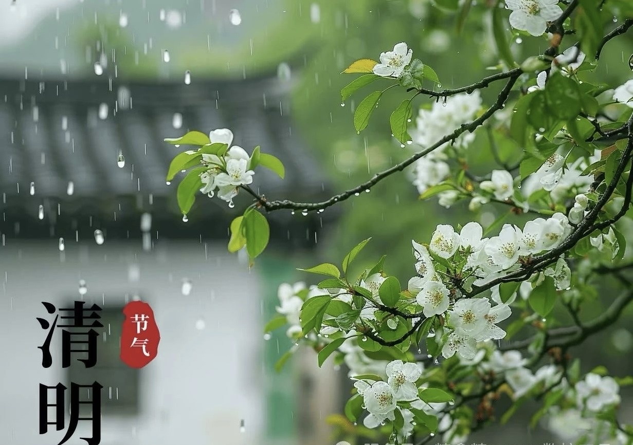 清明:追思與新生的交響 清明:追思與新生的交響