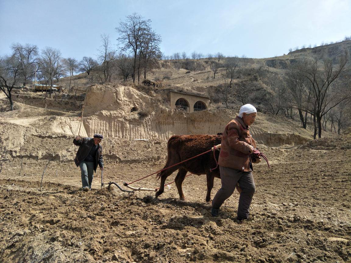 與兄書陜北辭話序 與兄書陜北辭話序