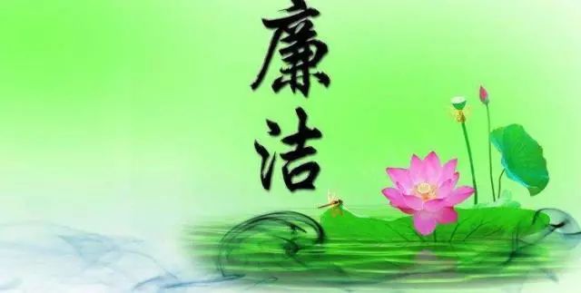 看鋼里廉潔花 看鋼里廉潔花