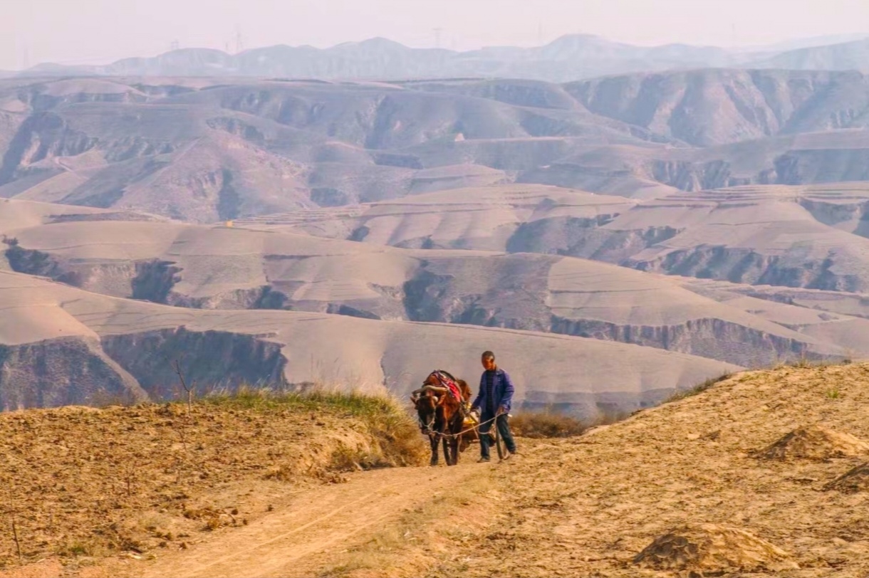 陜北情 勞動美 陜北情 勞動美