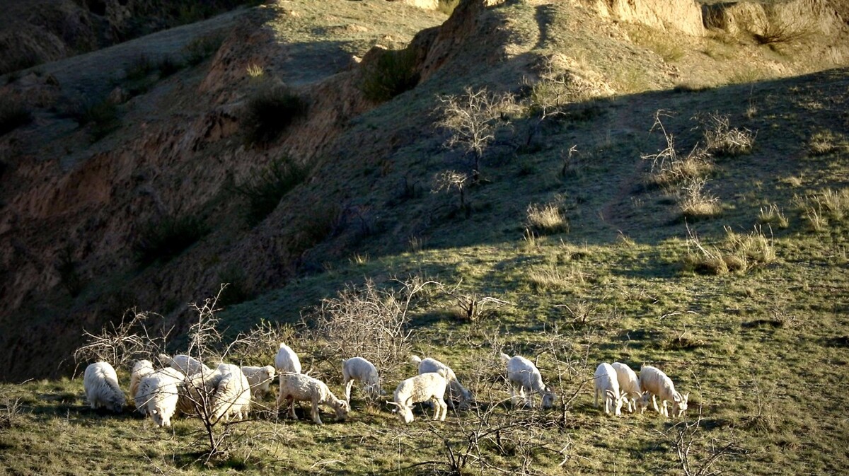 幸福用勤勞書寫 幸福用勤勞書寫