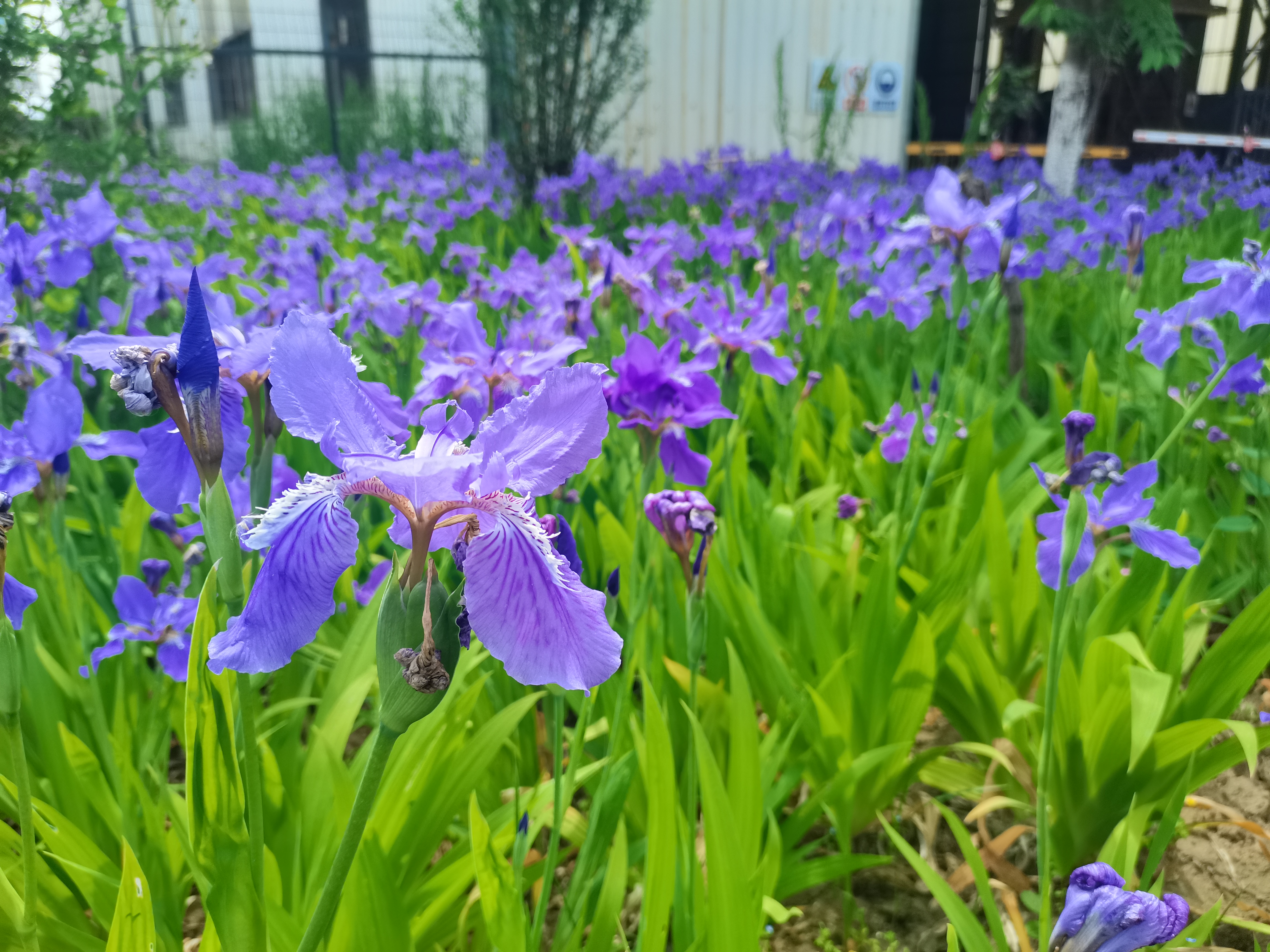 �䓝h䓣��Gɫ䓳ǵġ��ͳɱ����ֵ��͑׃֮·