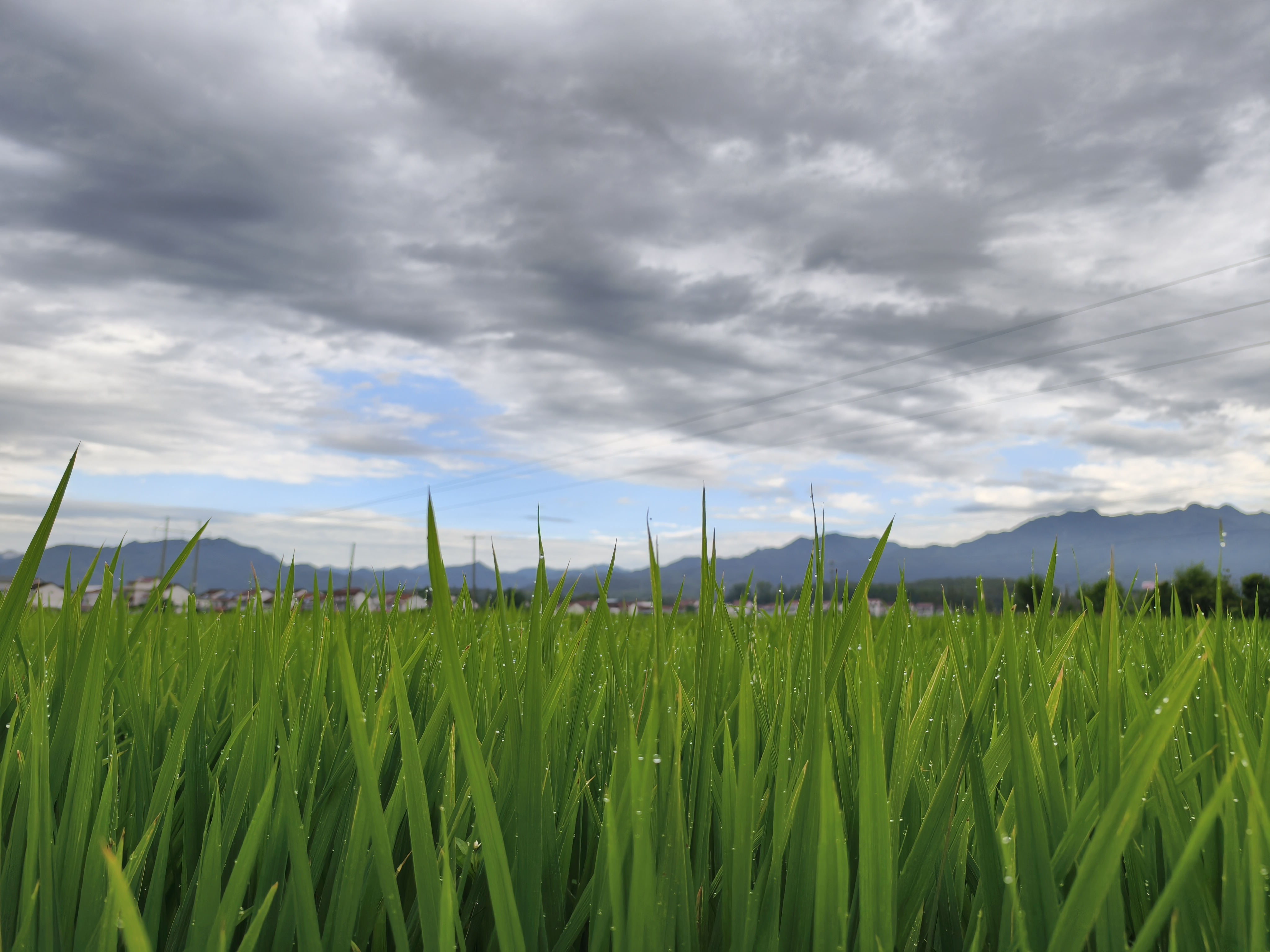 車輪碾過暑光,心棲田野清風 車輪碾過暑光,心棲田野清風