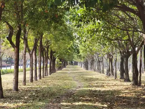 ���l�ܵ��ϵ���݆