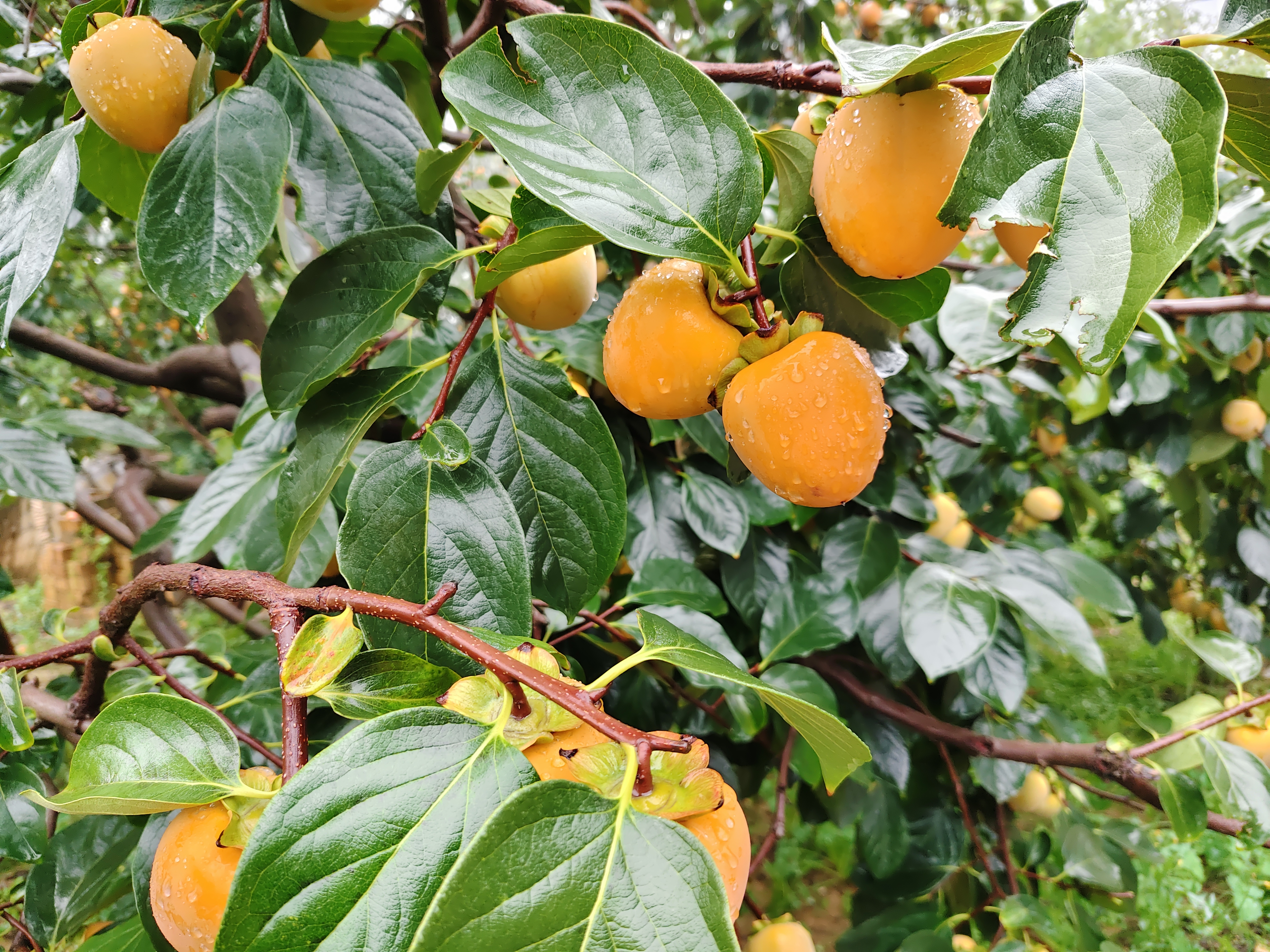 ֦�^���M���������