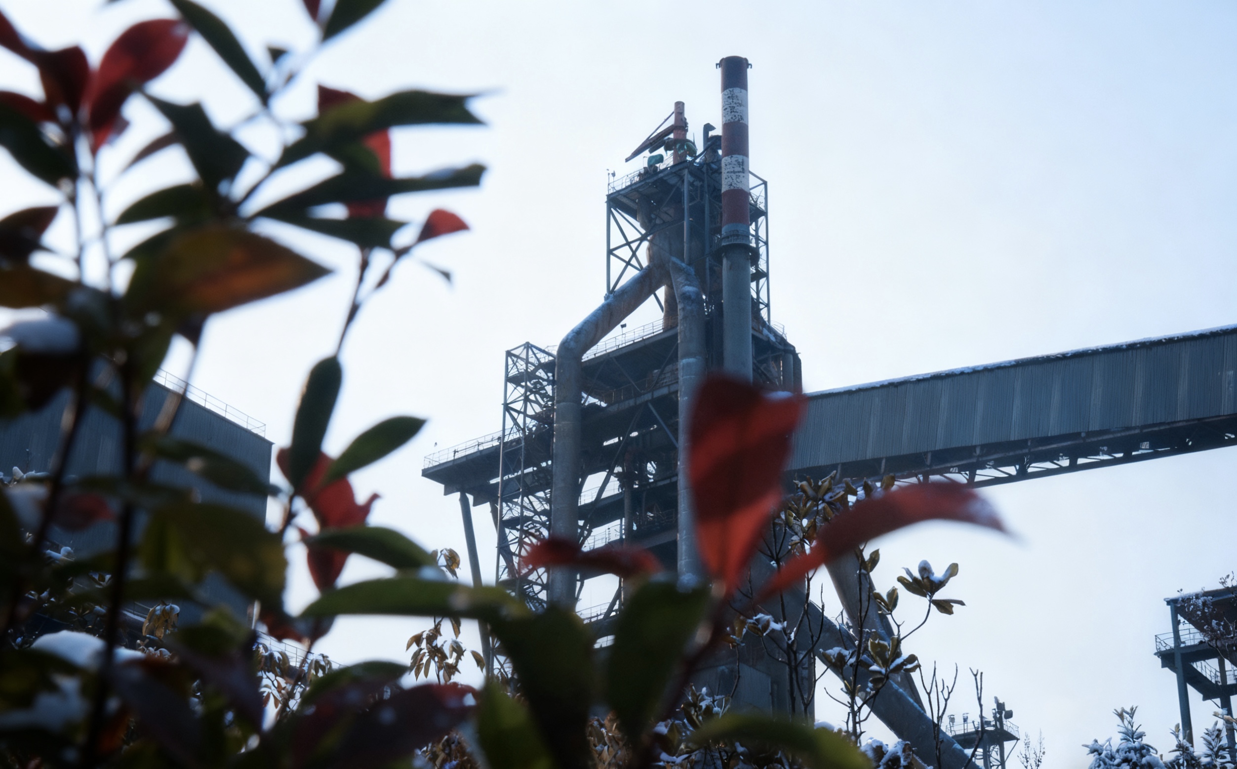 鋼城初冬的金韻 鋼城初冬的金韻