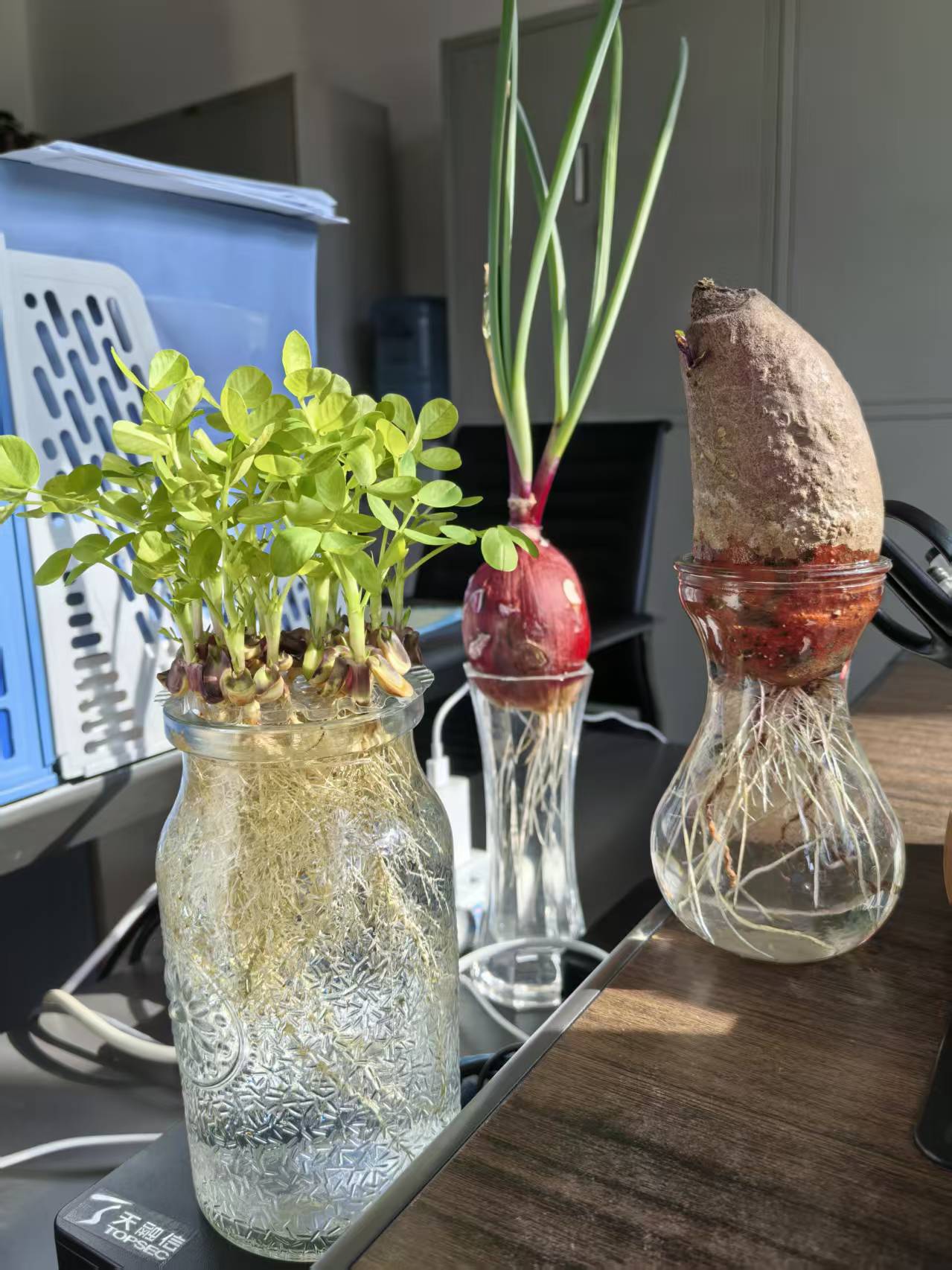 �ҵ�ˮ�ࡰСɭ�֡�