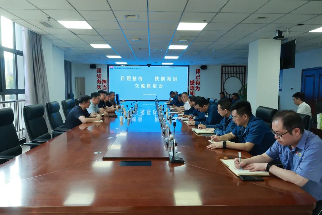 系統診斷謀實策 全鏈部署促降本——外部專家到漢鋼公司問診把脈