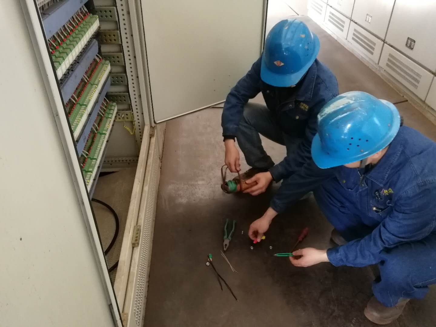 ���F���ӑB���������������������