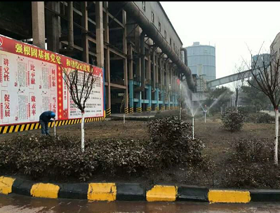 【美麗漢鋼】披綠行動在三月 【美麗漢鋼】披綠行動在三月