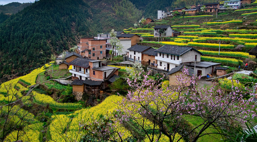 【鋼城文苑】我和我的家鄉 【鋼城文苑】我和我的家鄉