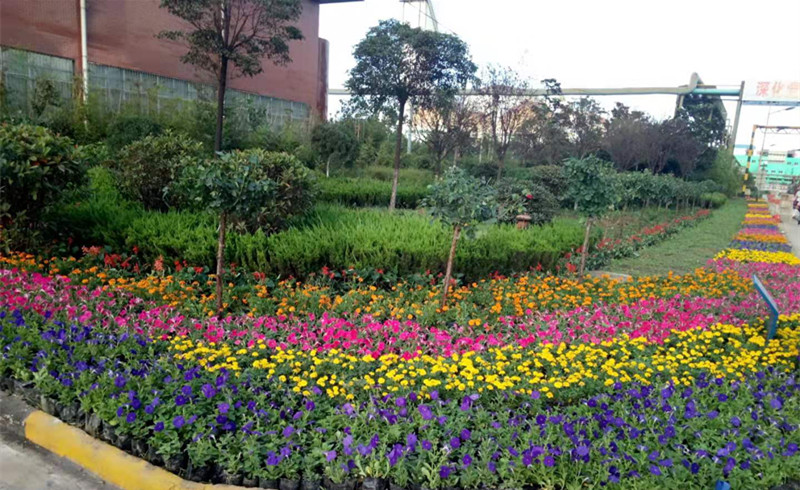 �������h䓡���ů���_��  �o(h��)�G���G����(d��ng)�r �����h䓹�˾��푴����G���������ԑ�(zh��n)