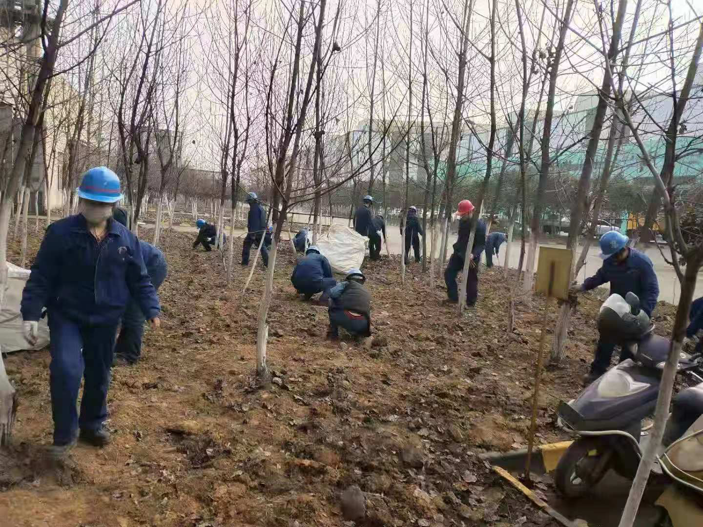 【美麗漢鋼】讓員工在綠色和繁花中徜徉——陜鋼集團漢鋼公司組織愛綠護綠活動 【美麗漢鋼】讓員工在綠色和繁花中徜徉——陜鋼集團漢鋼公司組織愛綠護綠活動