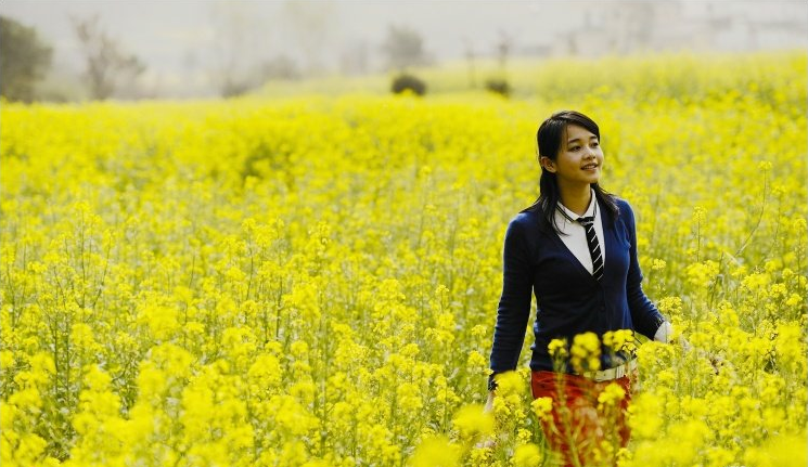 ��䓳���Է�������Ͳ˻���