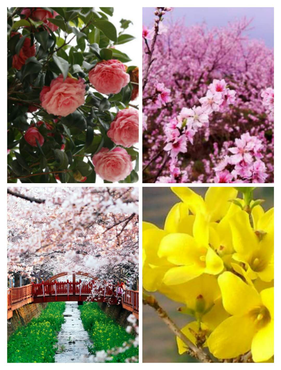 ��䓳���Է�������µĻ���������