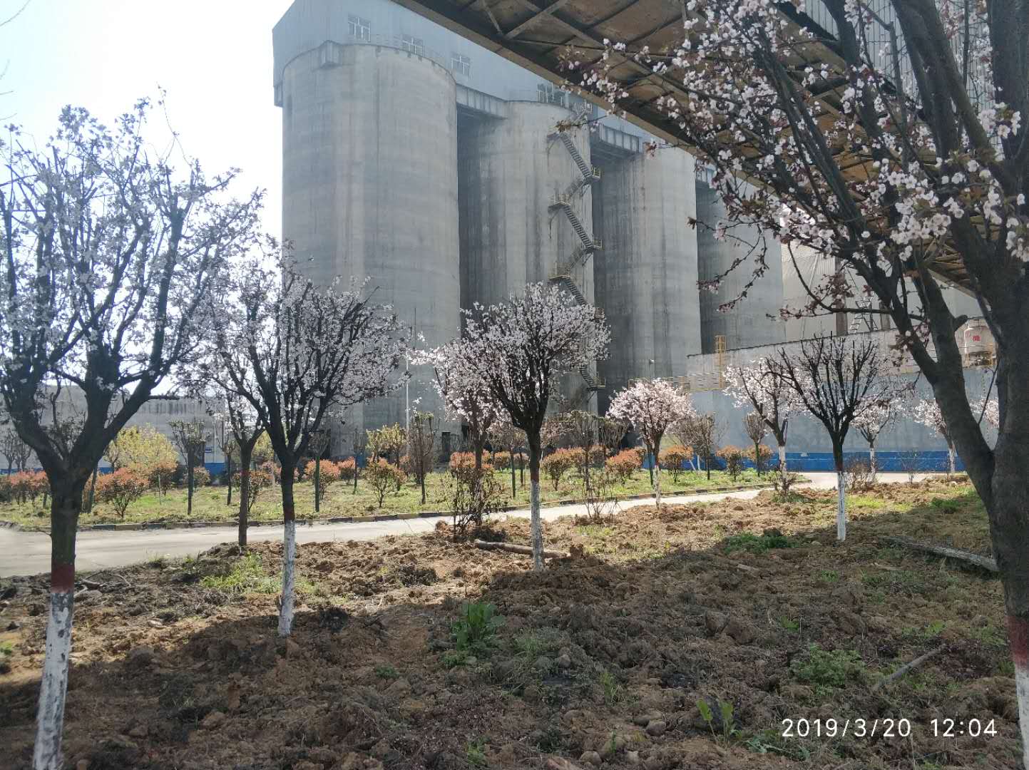 【鋼城文苑】化蝶振翅 追夢前行 【鋼城文苑】化蝶振翅 追夢前行