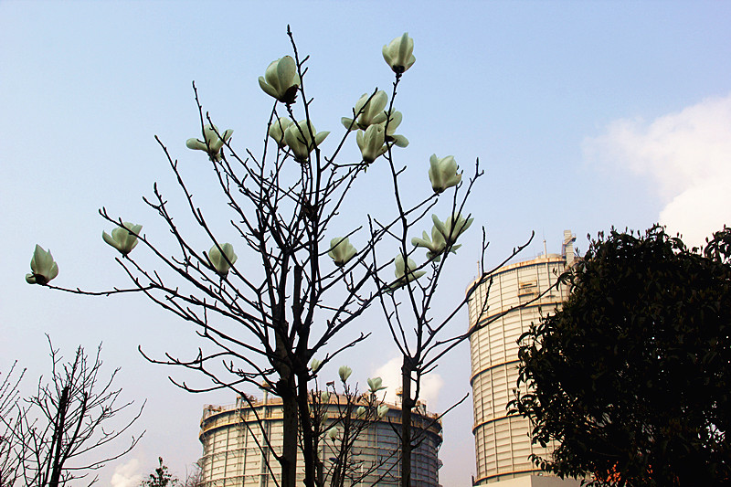 �������h䓡������ˣ�һ�𵽝h�̤���^���ɣ�