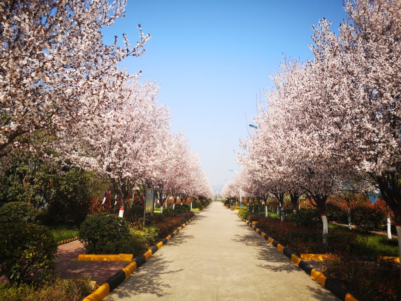 �������h䓡���������һ�𵽝h�̤���^������