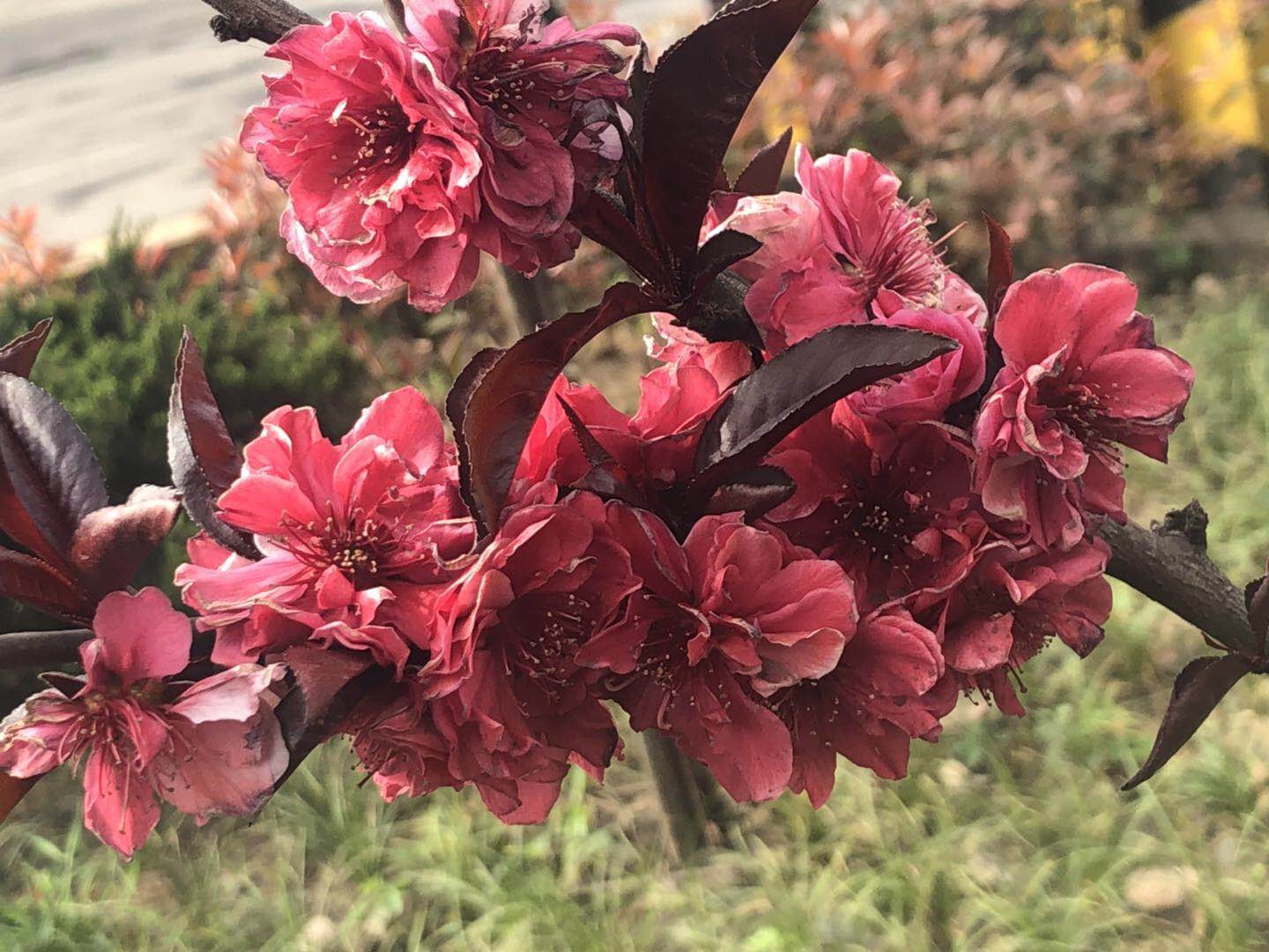 �������h䓡���������һ�𵽝h�̤���^���ɣ�