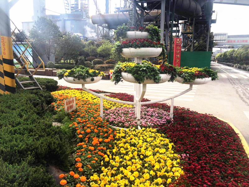 【美麗漢鋼】美翻了,一起到漢鋼來賞花! 【美麗漢鋼】美翻了,一起到漢鋼來賞花!