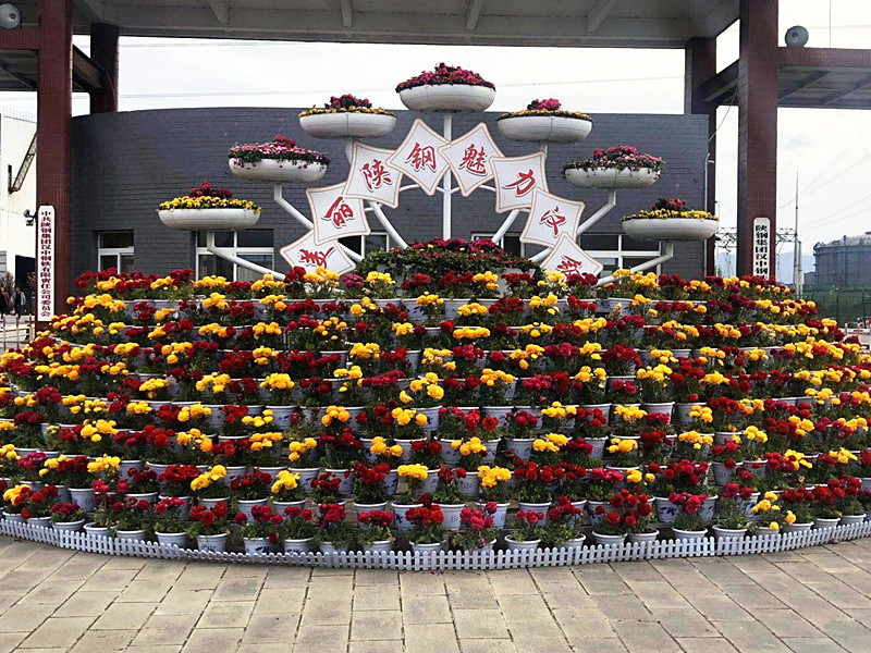 【美麗漢鋼】美翻了,一起到漢鋼來賞花! 【美麗漢鋼】美翻了,一起到漢鋼來賞花!