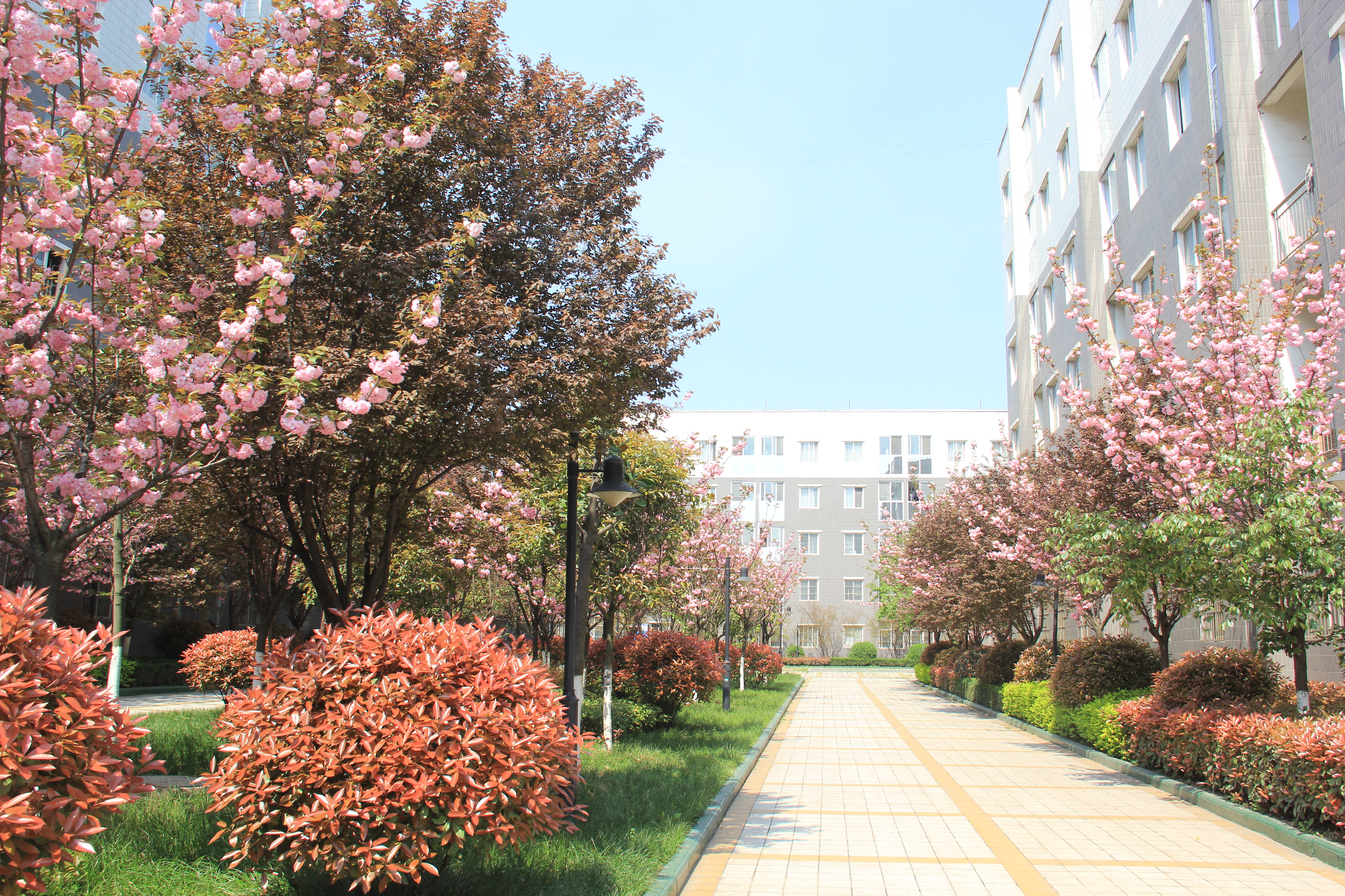 �������h䓡������ˣ�һ�𵽝h�̤���^������