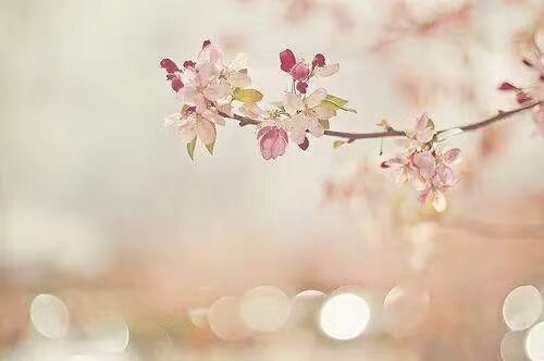 ��䓳���Է���������