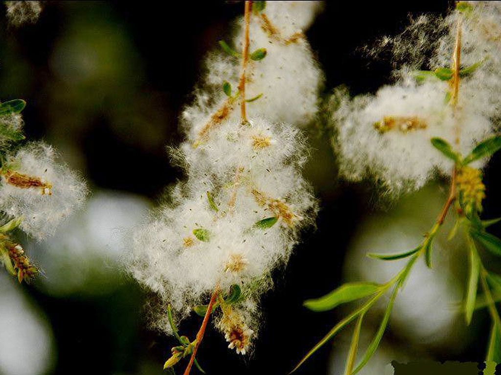 ��䓳���Է�����Á���ʹ��